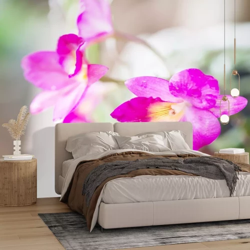 Sticker Orchidee op een wazige foto