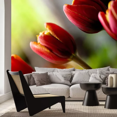 Sticker Close-up foto van tulpen