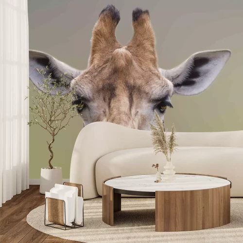 Sticker Ik ben prachtig, A Cute portret van de giraf.