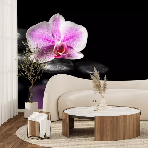 Sticker Orchidee en stenen op een zwarte achtergrond