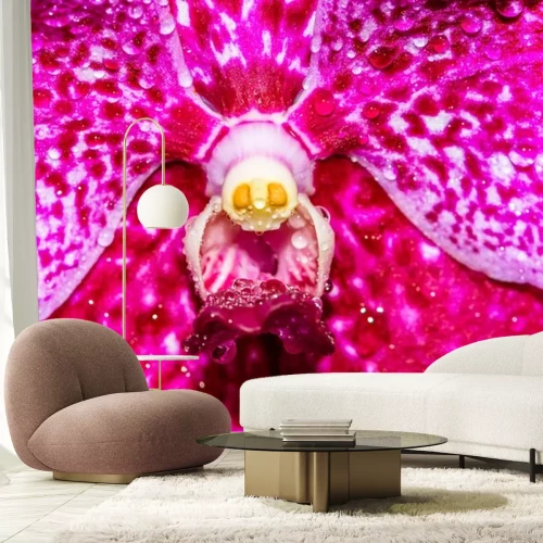 Sticker Het centrum van een roze orchidee