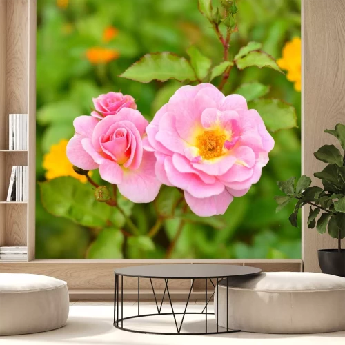 Sticker Roze rozen in de tuin