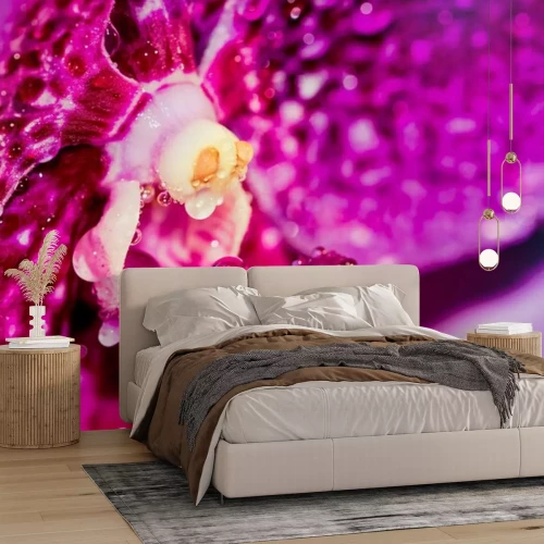 Sticker Het hart van een orchidee bedekt met dauw