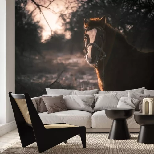 Sticker Paarden stijgen op in het bos in een herfstachtige omgeving