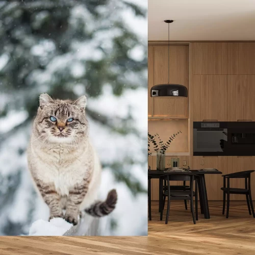 Sticker Katten Siberische kat op een besneeuwde omheining
