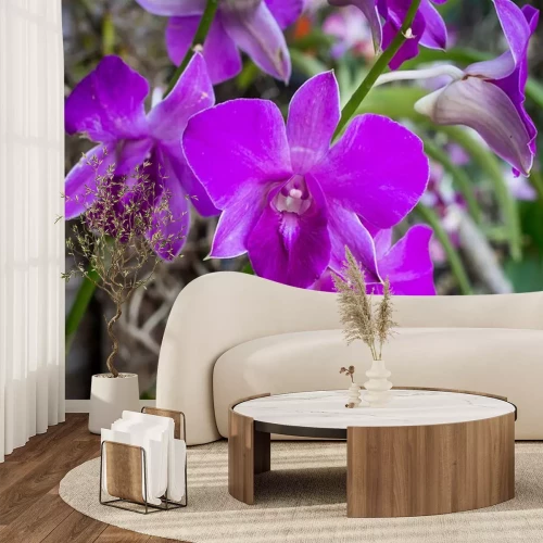 Sticker Paarse orchidee orchidee