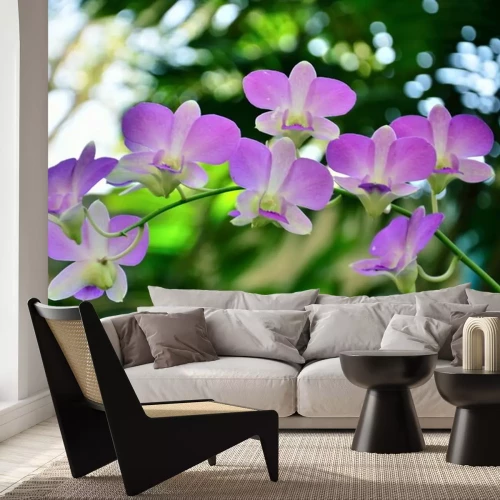 Sticker Pastel orchidee takje