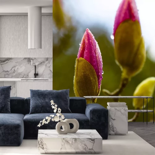 Sticker Twee roze magnoliaknoppen