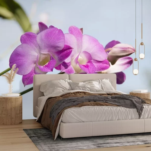 Sticker Orchidee tegen de lucht