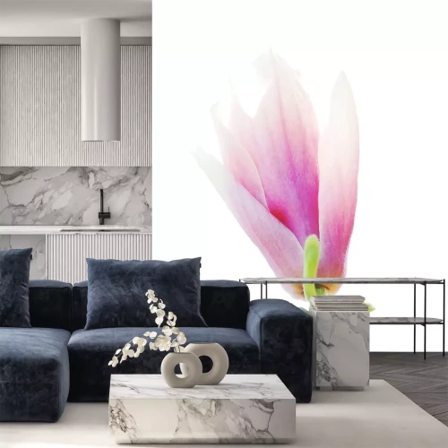 Sticker Magnoliaknop op witte achtergrond wordt geïsoleerd die