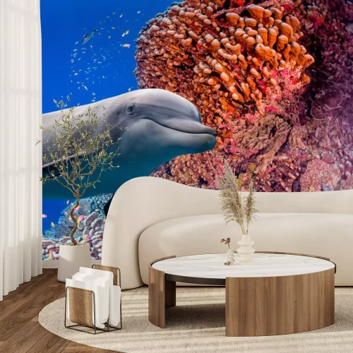 Sticker dolfijn onderwater op rif achtergrond