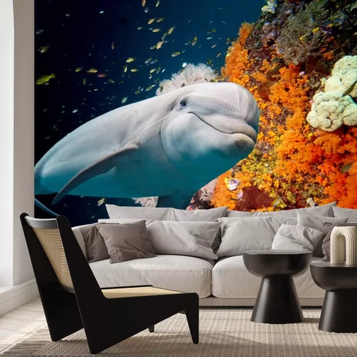 Sticker dolfijn onderwater op rif achtergrond