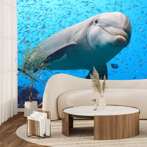 Sticker dolfijn onderwater op rif achtergrond