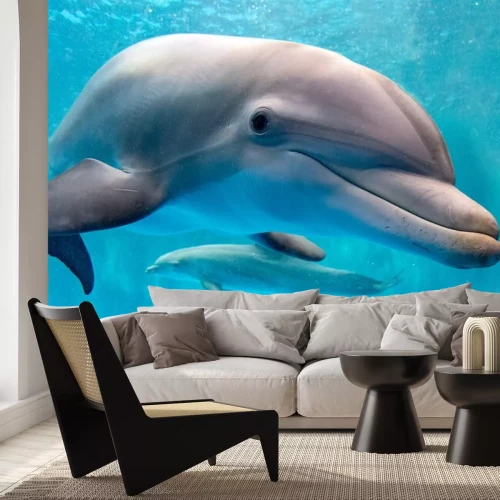 Sticker dolfijn onderwater op rif achtergrond