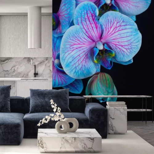 Sticker Blauwe orchidee met roze accenten