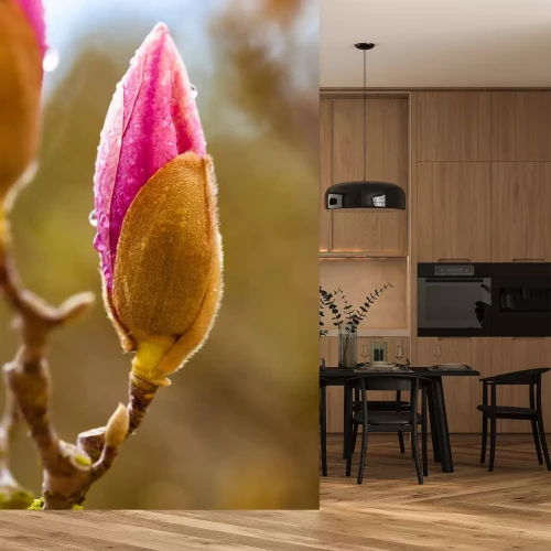 Sticker Dauw op een magnoliaknop