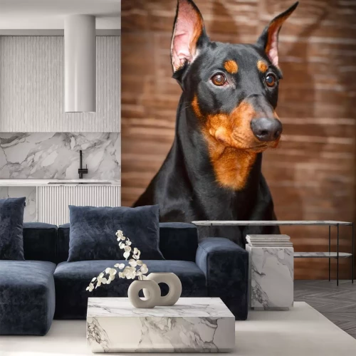 Sticker Duitse Pinscher