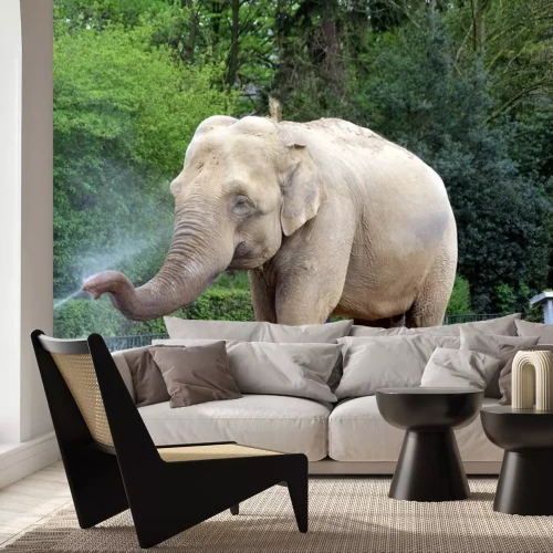 Sticker Olifant met waterstraal