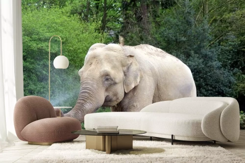 Visualisatie van het product