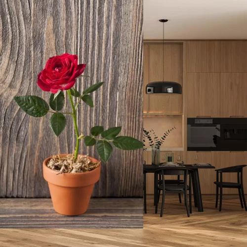 Sticker Roos in een pot op een houten achtergrond