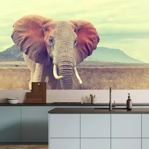 Sticker Wilde Afrikaanse olifant. vintage effect