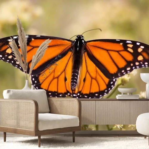 Sticker Vergrote vlinder