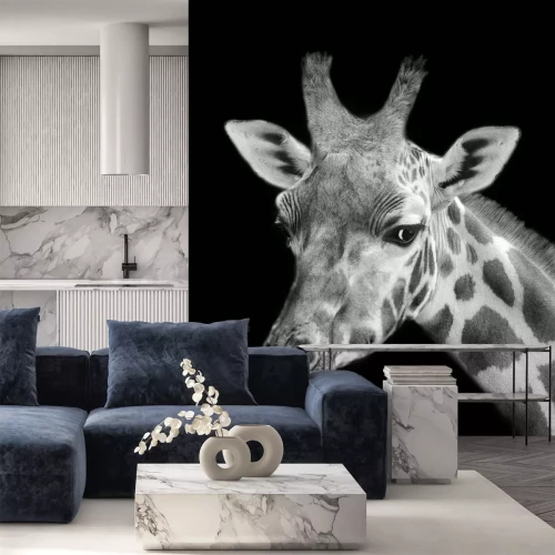 Sticker Zwart-wit Portret van de giraf