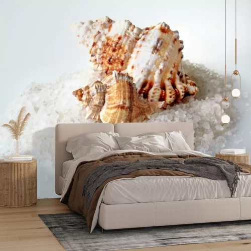 Sticker zeeschelp op de heuvel van zeezout op een witte achtergrond