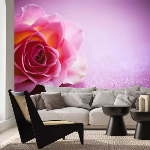 Sticker Roos op een paarse achtergrond