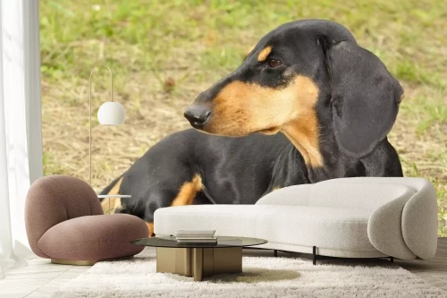 Visualisatie van het product