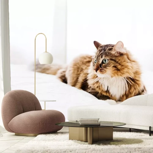 Sticker Huiskat met een witte stropdas liggend op het bed