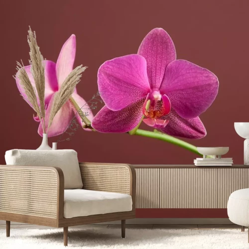 Sticker Orchidee op een bruine achtergrond