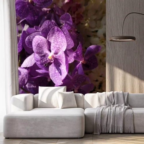 Sticker Purpere orchidee in de zon