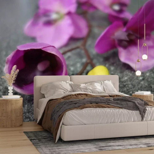 Sticker Orchidee met knoppen op een steen