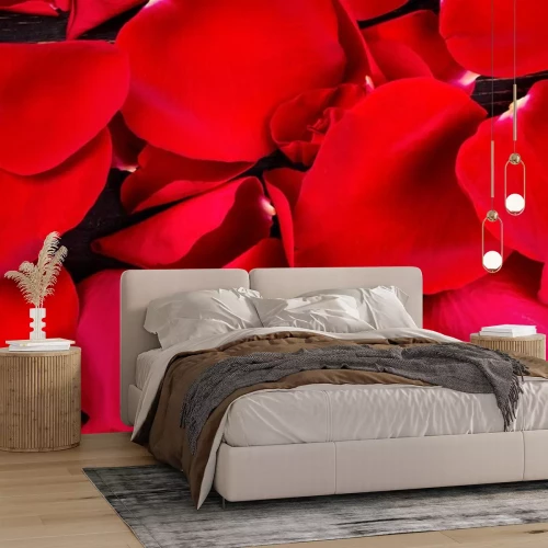 Sticker Rode rozen en hun bloemblaadjes