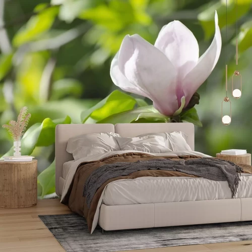 Sticker Magnolia op de achtergrond van bladeren