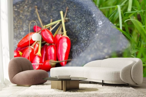 Visualisatie van het product