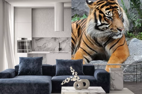 Visualisatie van het product