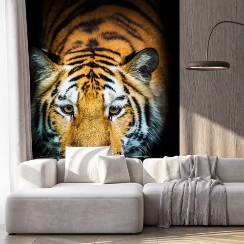 Sticker Tijger met witte snor zwarte achtergrond