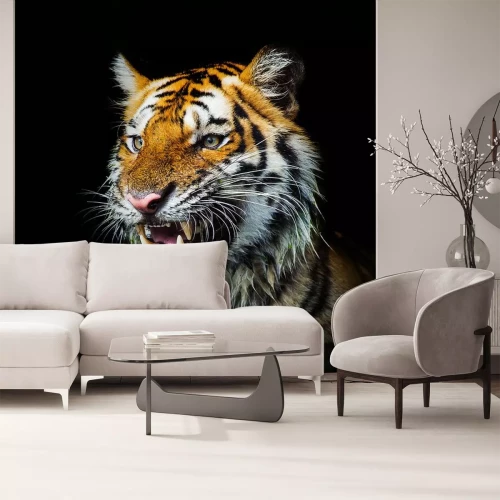 Sticker Tijger dreigt met open mond