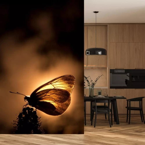 Sticker Vlinder op de achtergrond van de zon