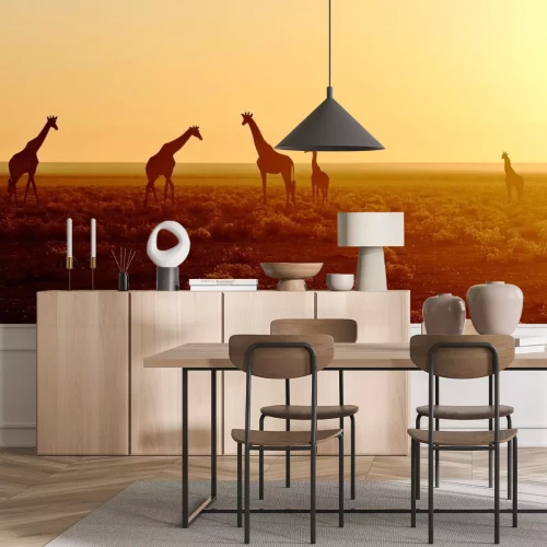 Sticker Kudde van giraffen bij zonsopgang