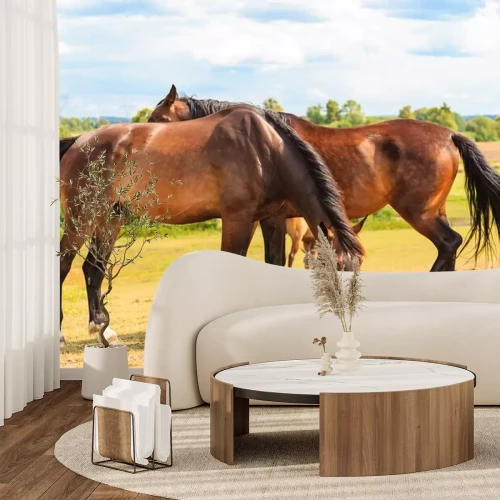 Sticker Verliefde paarden staan ​​op een groene open plek