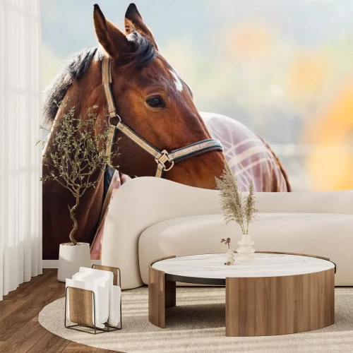 Sticker Paardenhoofd met beige hoofdstellen in close-up