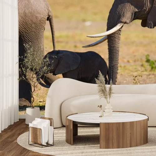 Sticker Baby olifant gaat het dicht bij zijn moeder. Afrika. Kenia. Tanzania. Serengeti. Maasai Mara. Een uitstekende illustratie.