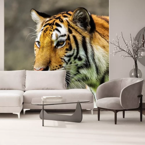 Sticker Tijger snuit profiel vage achtergrond