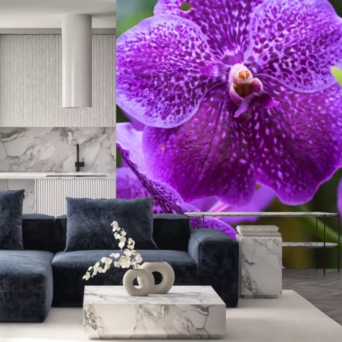 Sticker Gespikkelde orchidee close-up