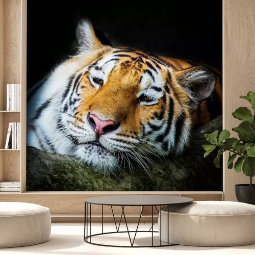 Sticker Een tijger leunend op een stam terwijl hij rust