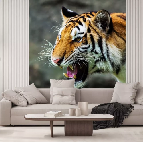 Sticker Tijger met open mond portret