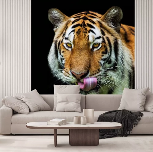 Sticker Tijger met tong uit portret